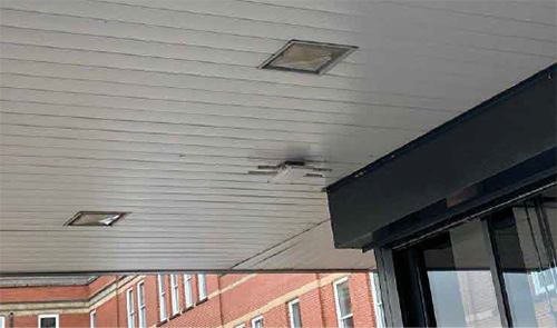 Canopy Cleaning